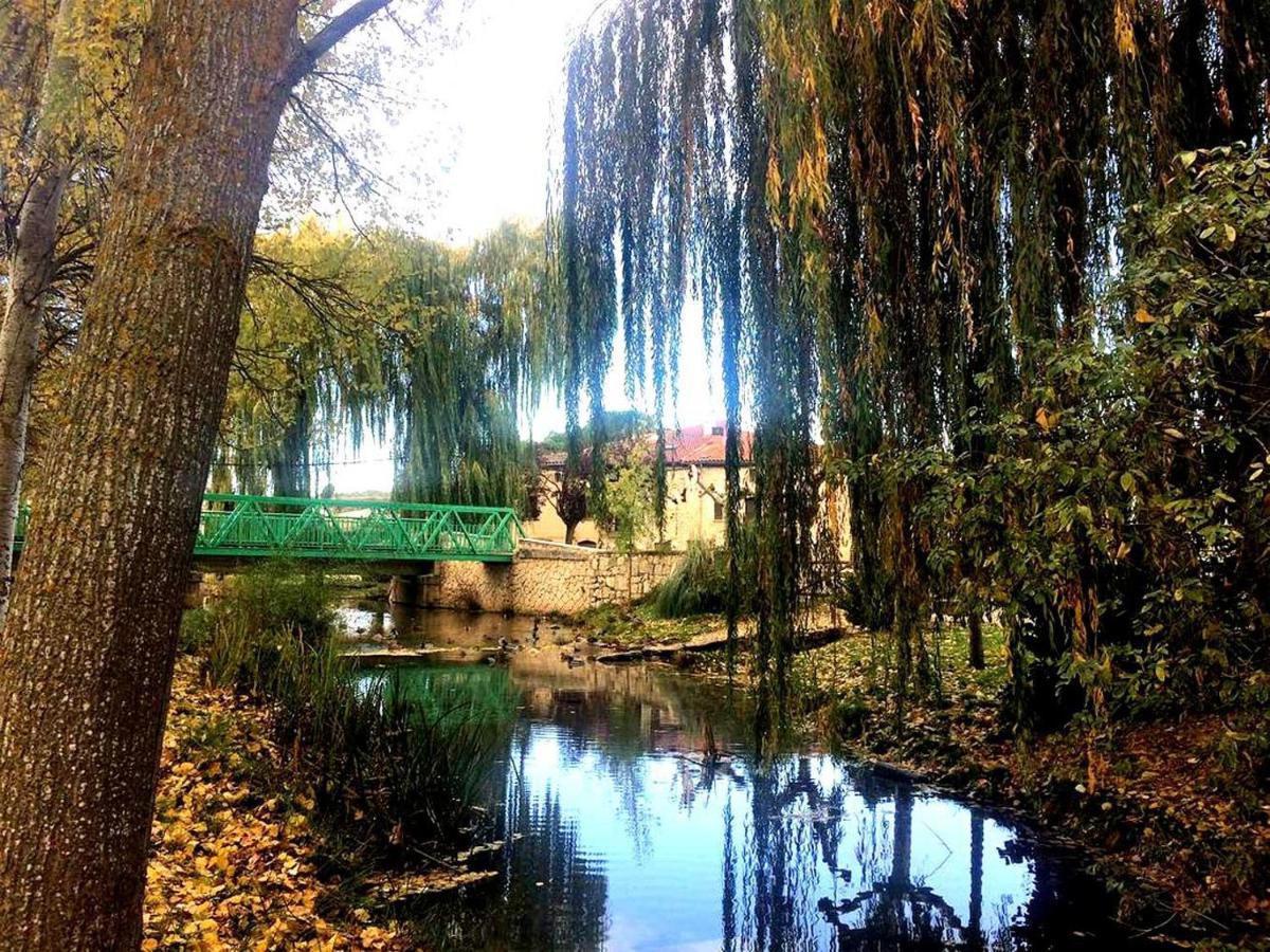 Apartamento Ribera Del Duero Reserva Tubilla del Lago Luaran gambar